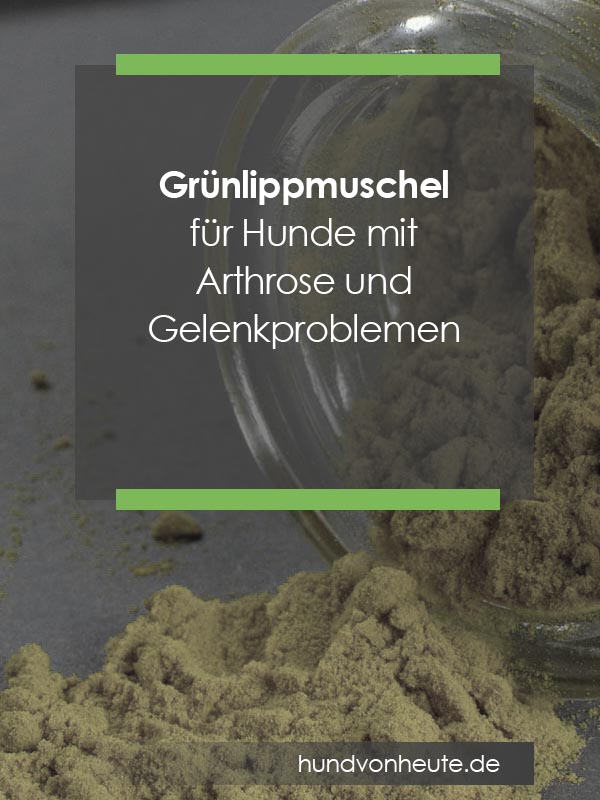 Grünlippmuschel für Hunde